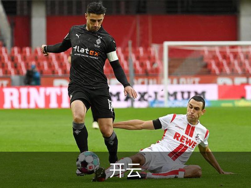 了解开云