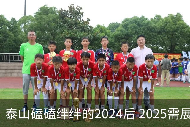 泰山磕磕绊绊的2024后 2025需展现清晰的发展方向