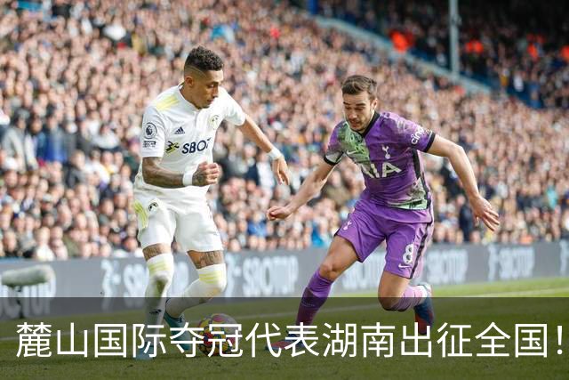 麓山国际夺冠代表湖南出征全国！2026东润杯·湖南省青少年足球联赛圆满落幕